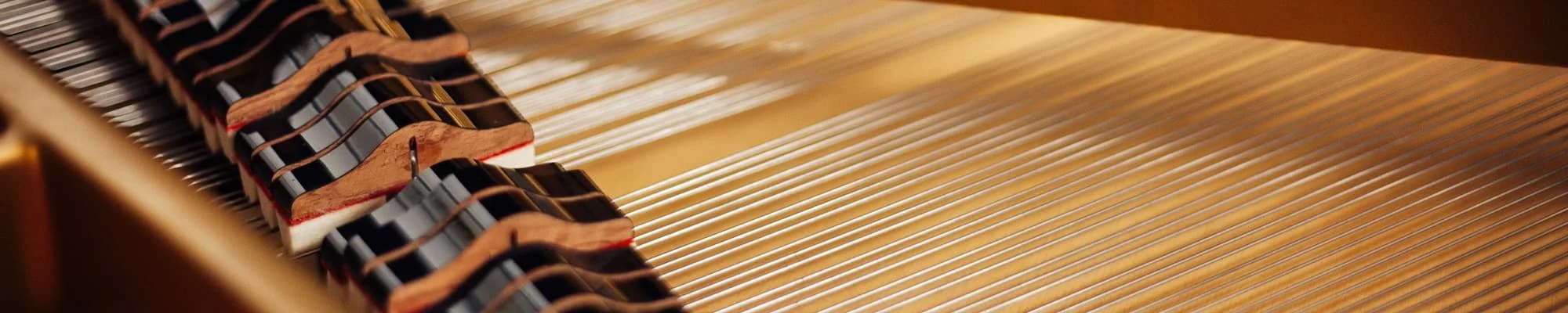 Piano Tuning & Repair Services